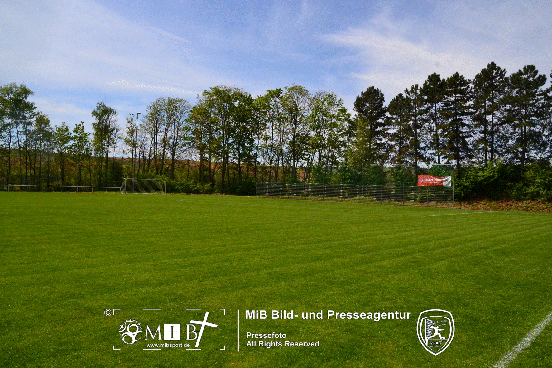 Willi-Stoll-Arena Alzey (1038)