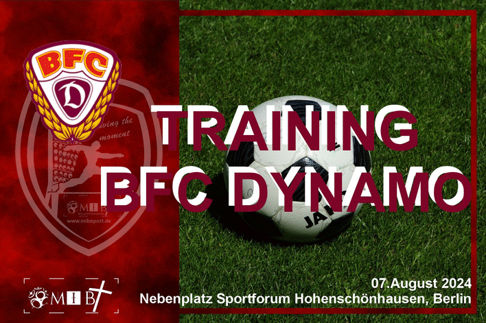 53912553221_bfb2b605f2_o